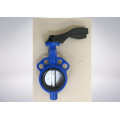 Butterfly Valve with Worm Gear Box